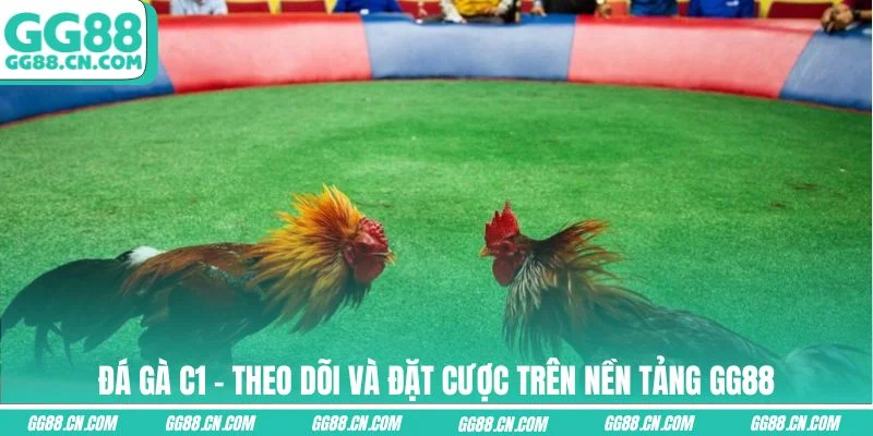 Ảnh đại diện đá gà c1